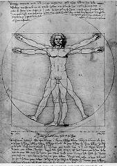 De Mens van Vitruvius De Mens van Vitruvius